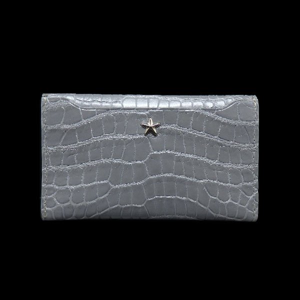 画像1: Business cardholder :Silver Edition 封筒型名刺ケース  (1)